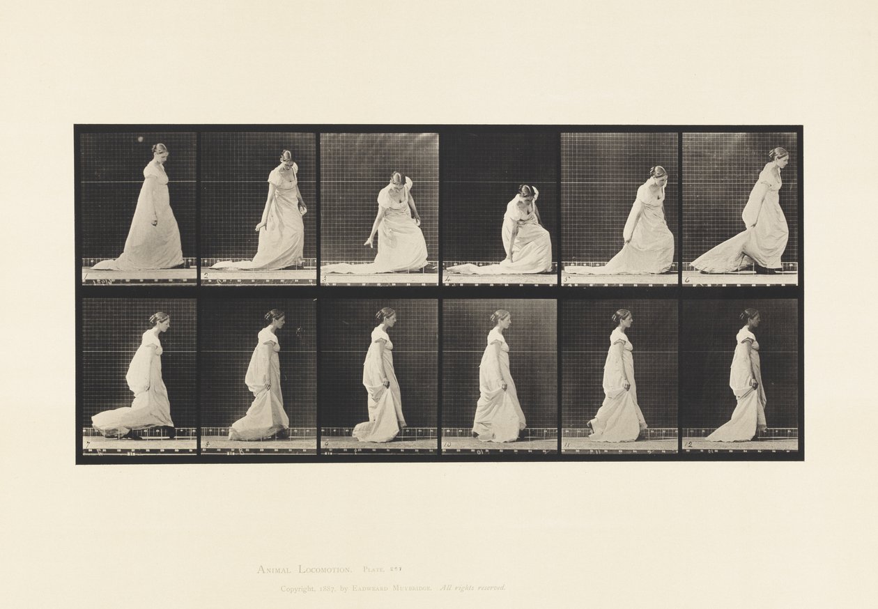 207. tábla. Lehajló és emelő vonat, 1885 alkotó: Eadweard Muybridge