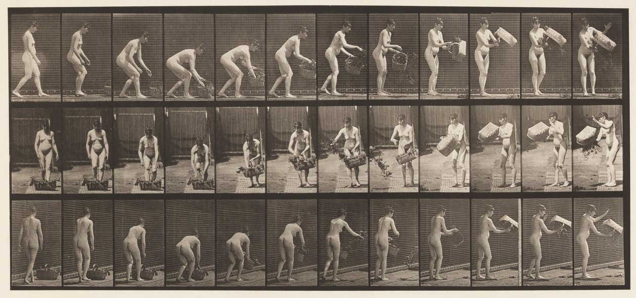 213. tányér. Emelő- és ürítőkosár alkotó: Eadweard Muybridge