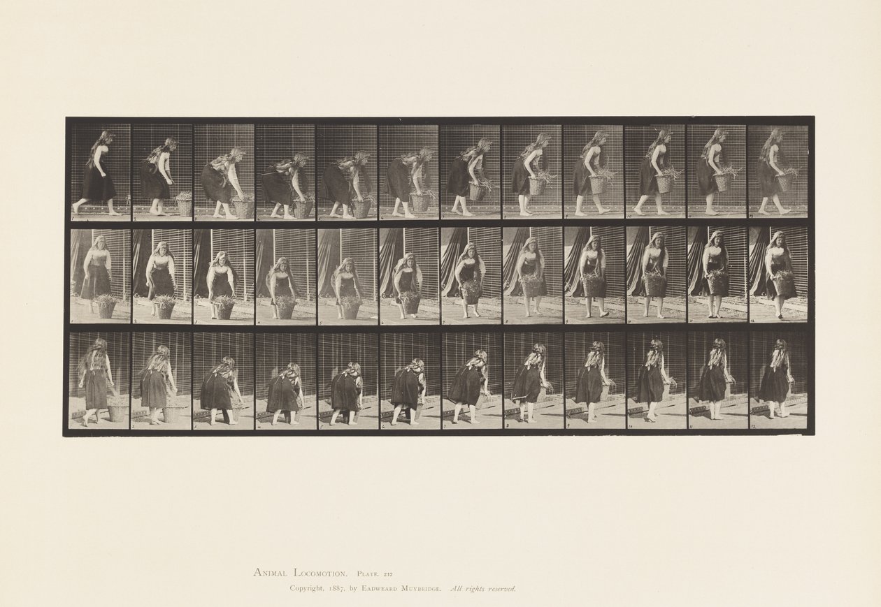 217. tányér. Lehajlás, emelés és szállítás 30 lb-os kosár, 1885 alkotó: Eadweard Muybridge