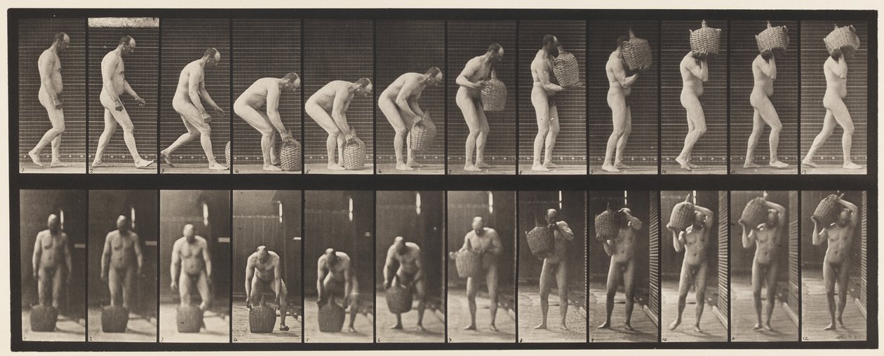 218. tányér. Lehajlás és teljes Demijohn vállhoz emelése alkotó: Eadweard Muybridge