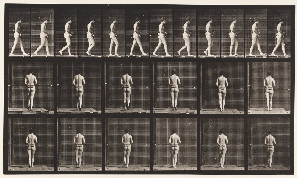 21. tábla. Járás, mindkét könyök behajlítva alkotó: Eadweard Muybridge