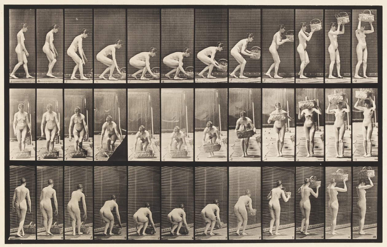221. tábla. Hajlítás és 12 lb-os kosár felemelése a fejhez alkotó: Eadweard Muybridge