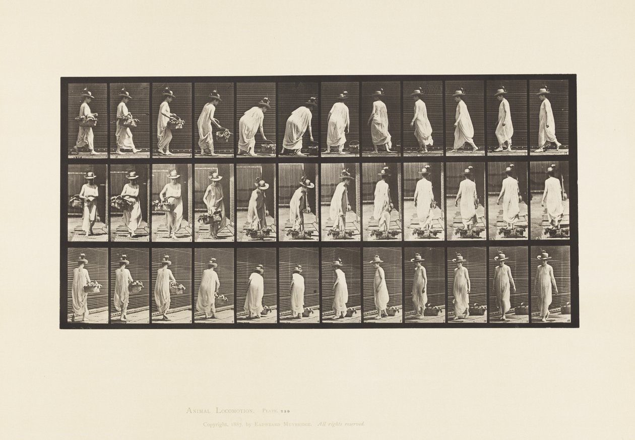 229. tábla. Kosár földre helyezése és forgatás alkotó: Eadweard Muybridge