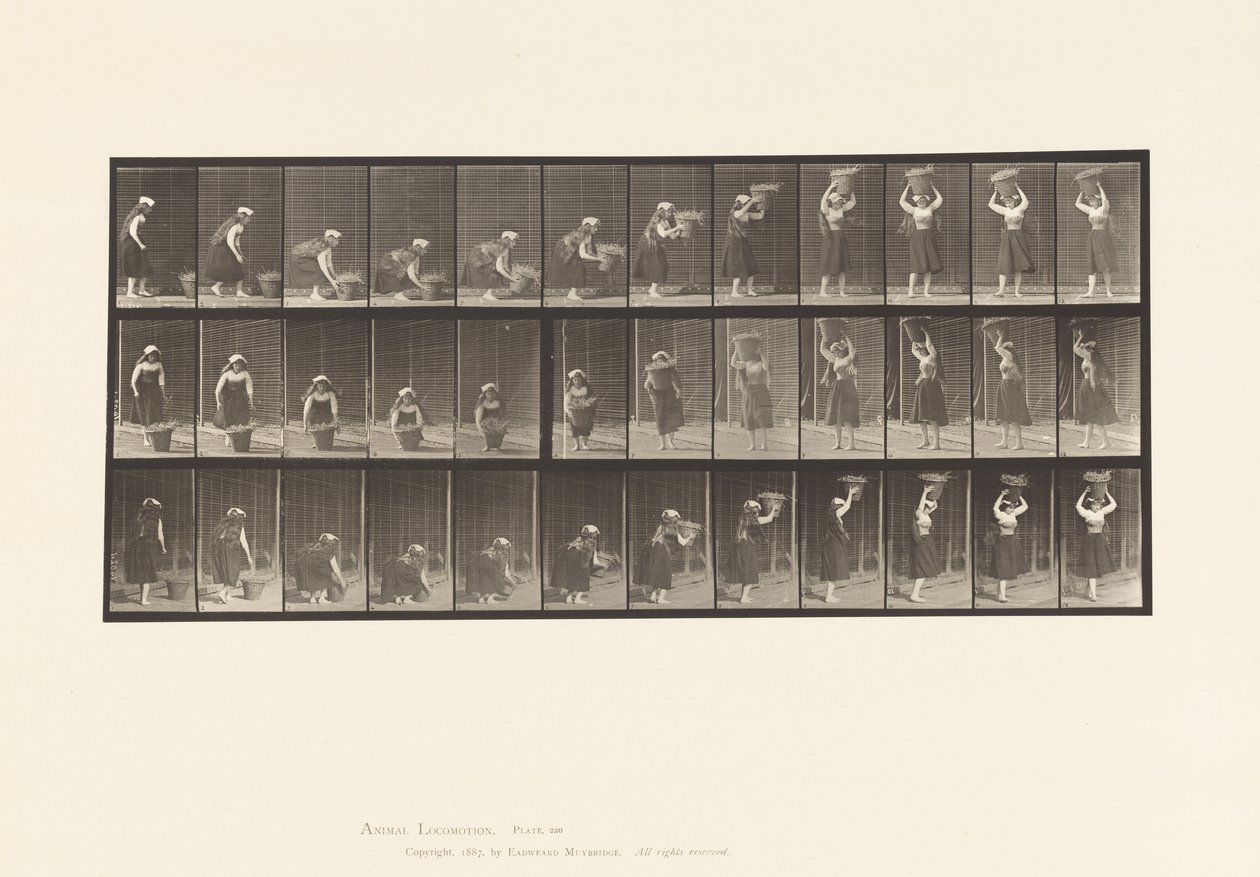 230-as tányér. 30 lb-os kosár emelése a földről a fejre, esztergálás, 1885 alkotó: Eadweard Muybridge