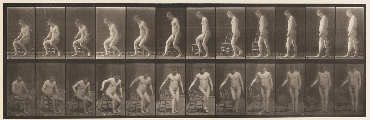 236. tábla. Diair elhelyezése és leülés, 1885 alkotó: Eadweard Muybridge