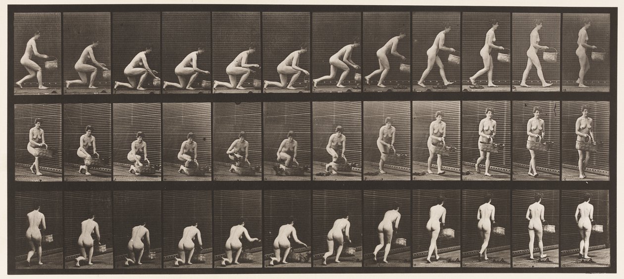 251. tábla. Bal térdre térdelve, bal kézben kosárral és emelkedéssel, 1872-1885 alkotó: Eadweard Muybridge