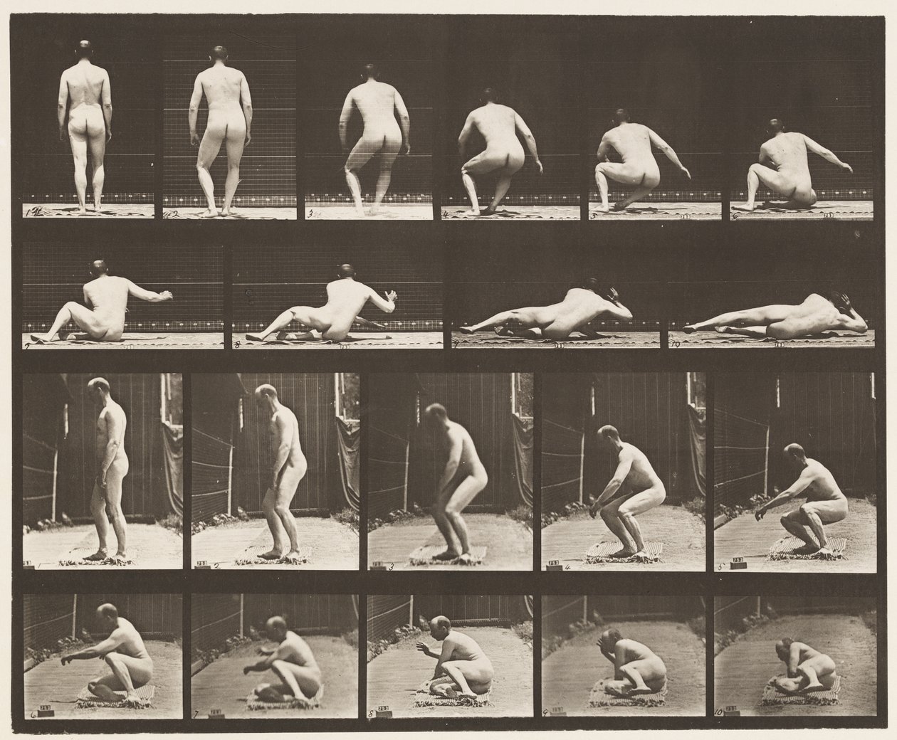 257. tábla.Földön fekve, 1885 alkotó: Eadweard Muybridge