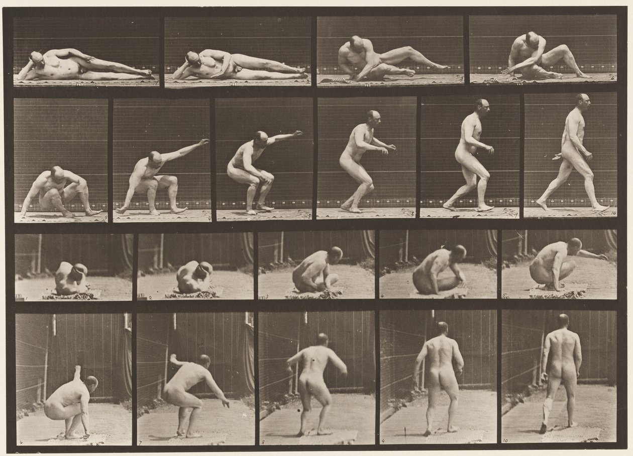 258. tábla. A földről felkelve és elsétálva alkotó: Eadweard Muybridge