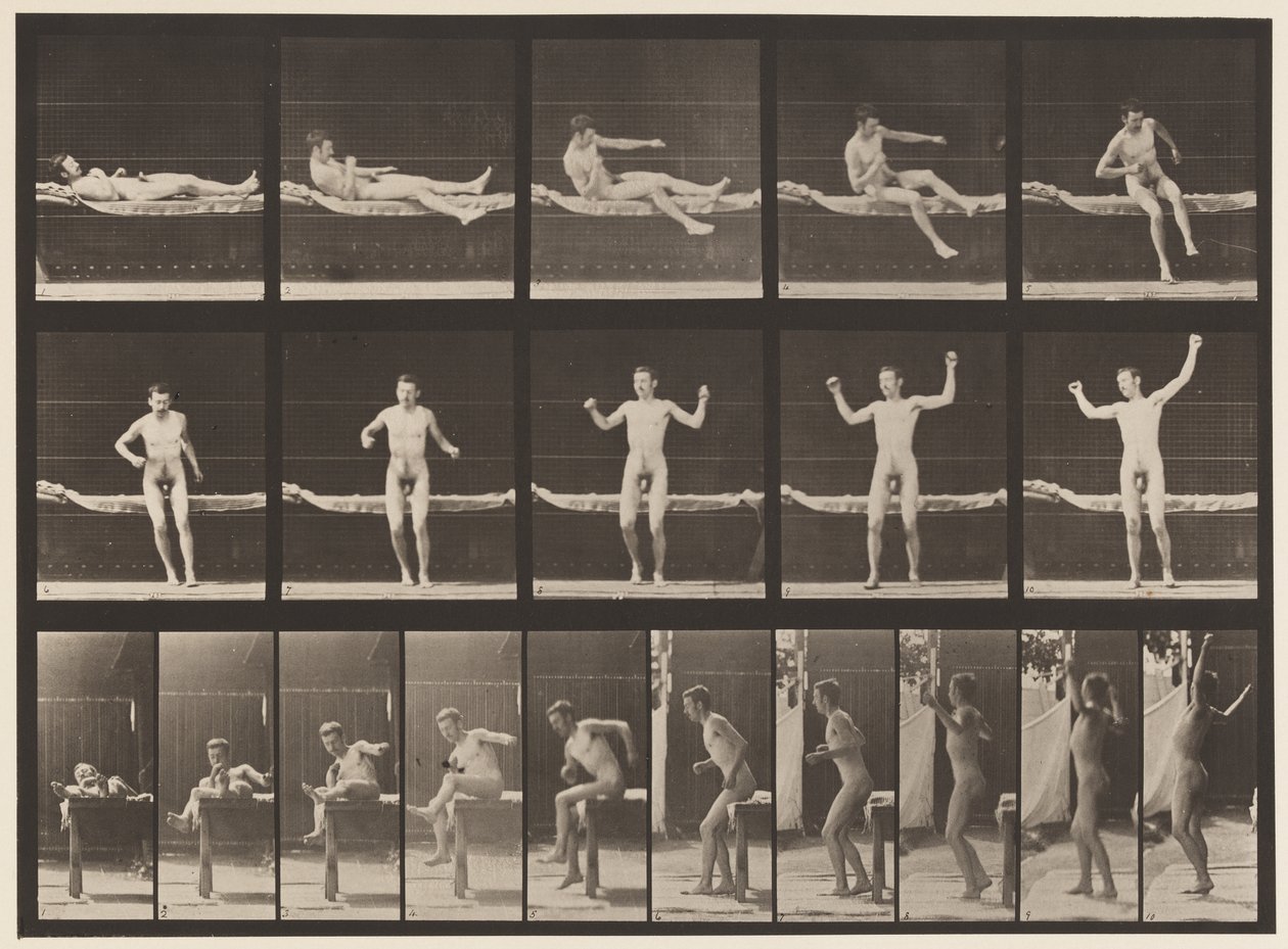 260. tábla. Kanapéból és nyújtókarból eredő, 1885 alkotó: Eadweard Muybridge