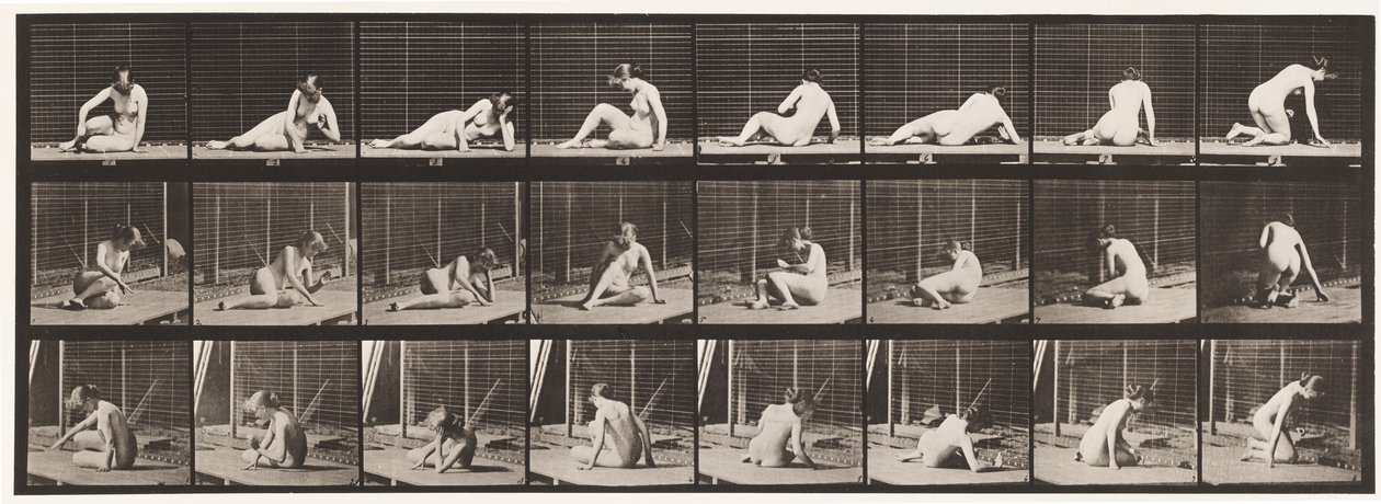 266. tábla. Fordulás és helyzetváltoztatás a földön alkotó: Eadweard Muybridge