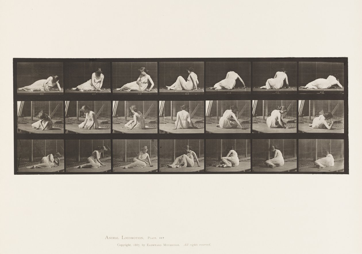 267. tábla. Fordulás és helyzetváltoztatás a földön, 1885 alkotó: Eadweard Muybridge