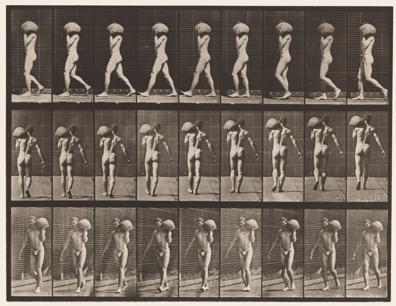 26. tábla. Séta, 75 font súlyú követ hord a bal vállán alkotó: Eadweard Muybridge
