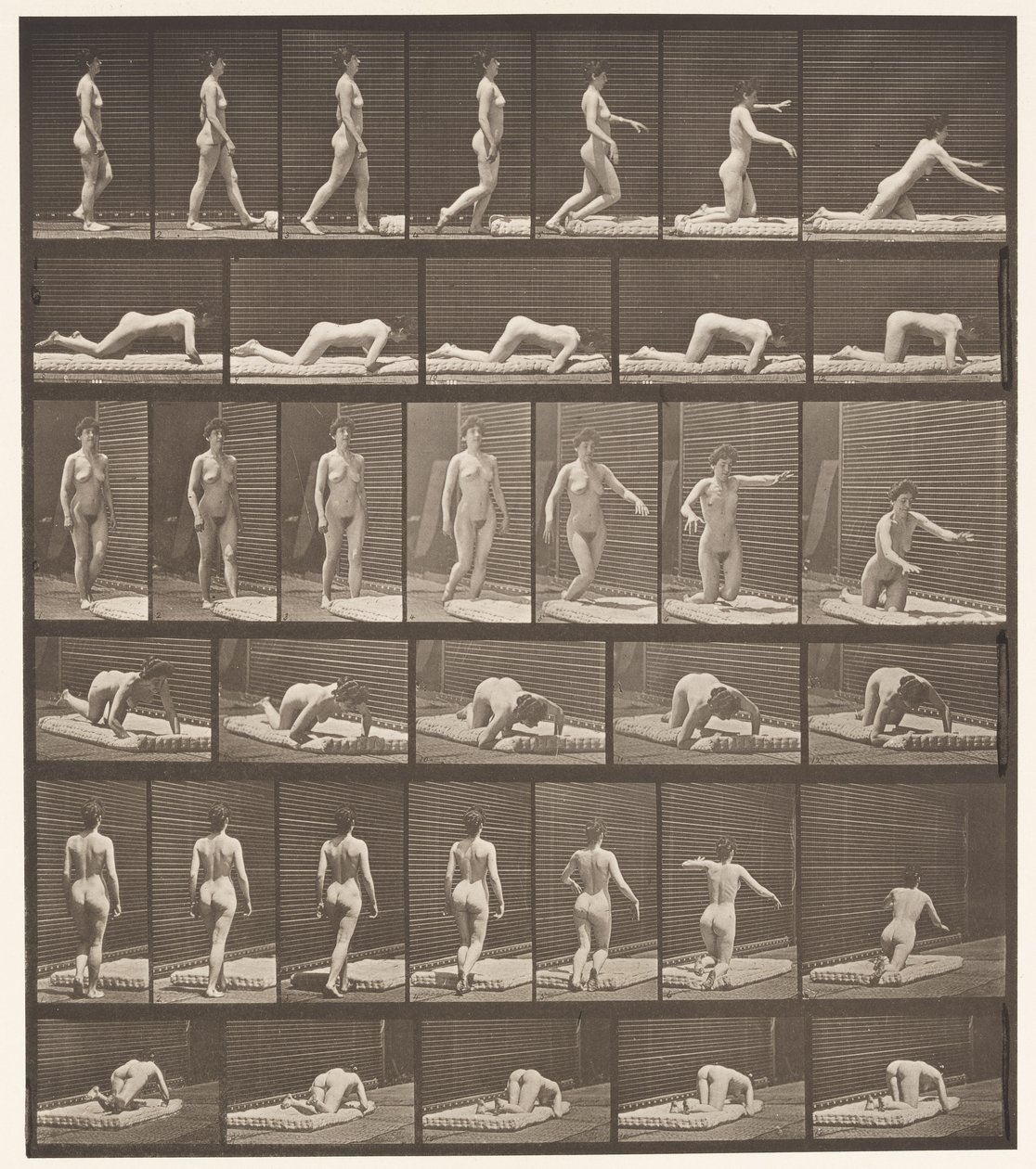 272. tábla. A földön botlás és esés alkotó: Eadweard Muybridge