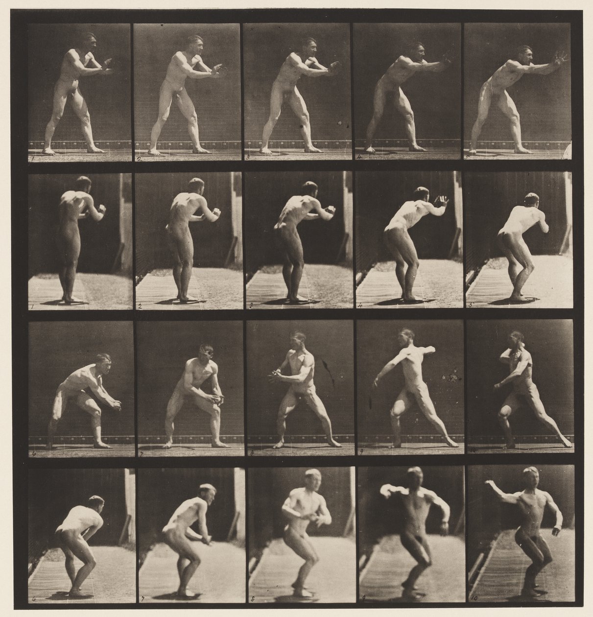 282. tányér.Alaplabda; Fogás és dobás, 1885 alkotó: Eadweard Muybridge