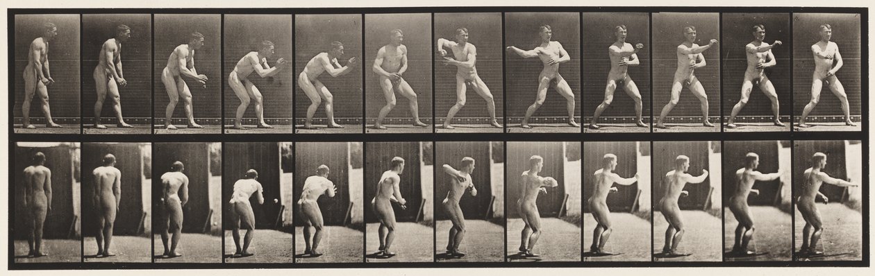 285. tányér. Baseball; Fogás és dobás alkotó: Eadweard Muybridge
