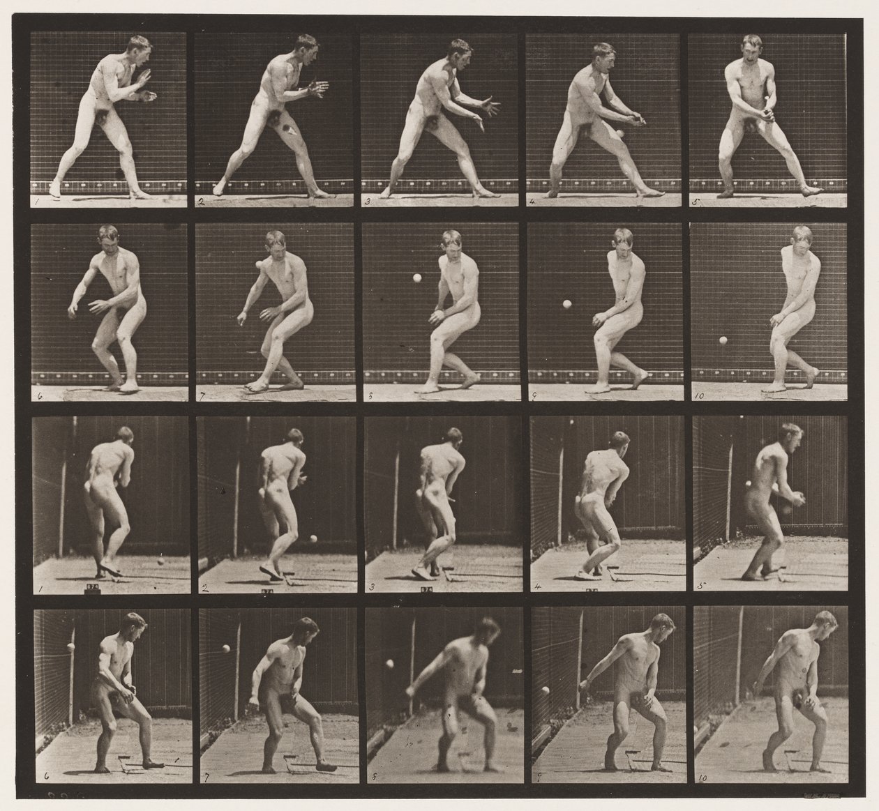 288. tányér. Baseball; Hiba alkotó: Eadweard Muybridge