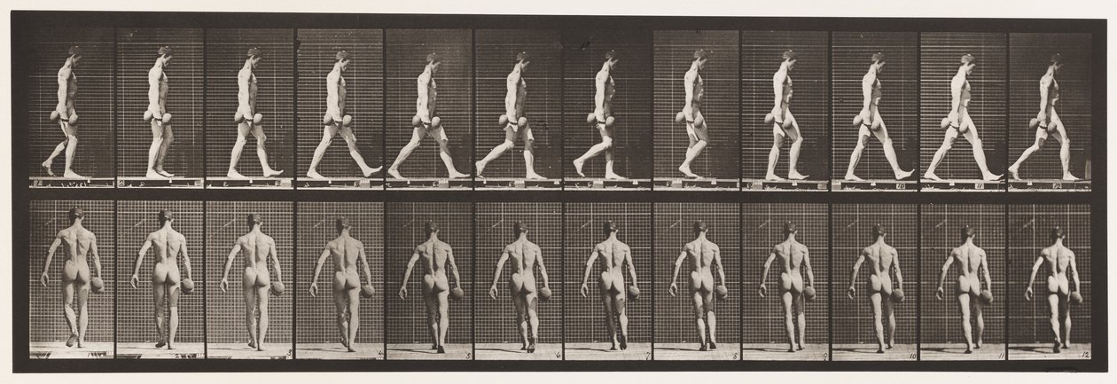 28. tábla. Séta, 50 font súlyú súlyzó jobb kézben, 1872-1885 alkotó: Eadweard Muybridge