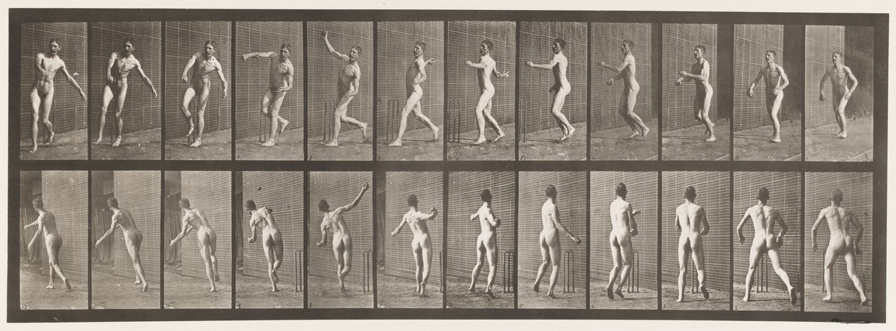 290. tányér.Tücsök; Over Arm Bowling, 1885 alkotó: Eadweard Muybridge