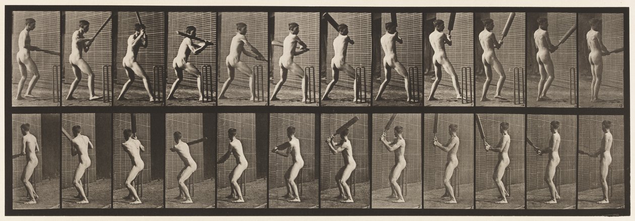 292. tányér.Tücsök; Ütőkezelés; Vissza, 1885 alkotó: Eadweard Muybridge