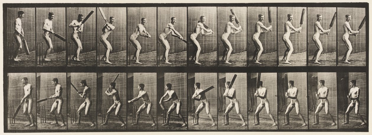 293. tányér.Tücsök; Ütőkezelés; Visszavágás, 1885 alkotó: Eadweard Muybridge