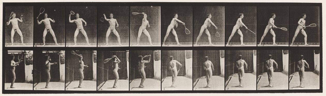 294. tányér. Gyeptenisz; Szolgáló alkotó: Eadweard Muybridge