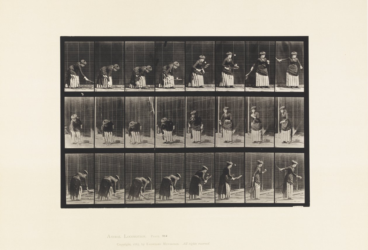 295. tányér. Gyeptenisz; Szolgáló alkotó: Eadweard Muybridge