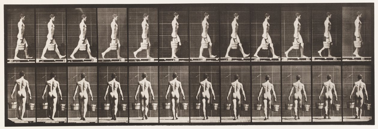 29. tábla. Séta, mindkét kezében vödör vizet hordva, 1872-1885 alkotó: Eadweard Muybridge