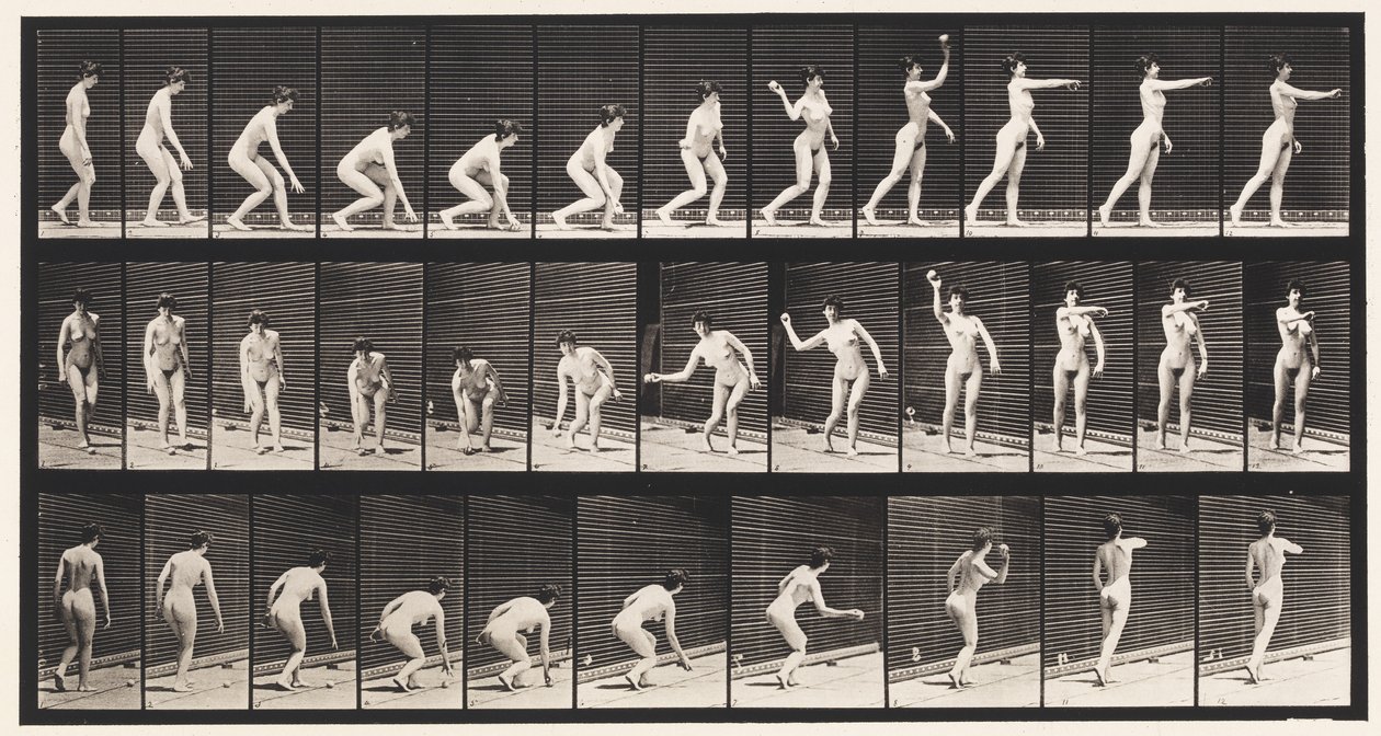 303. tábla. Labdafelvétel és eldobás, 1872-1885 alkotó: Eadweard Muybridge