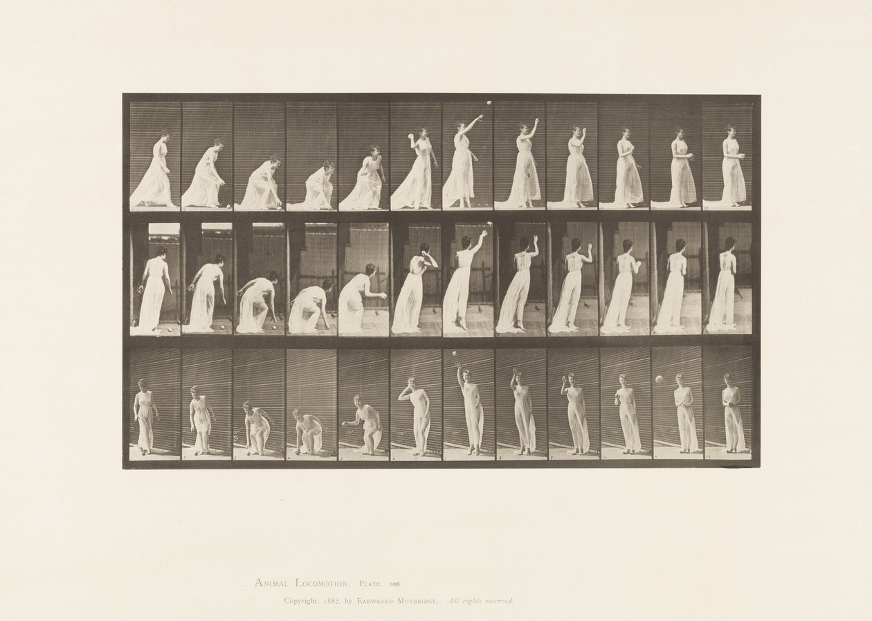 305. tányér. Labdát felvenni és eldobni, 1885 alkotó: Eadweard Muybridge