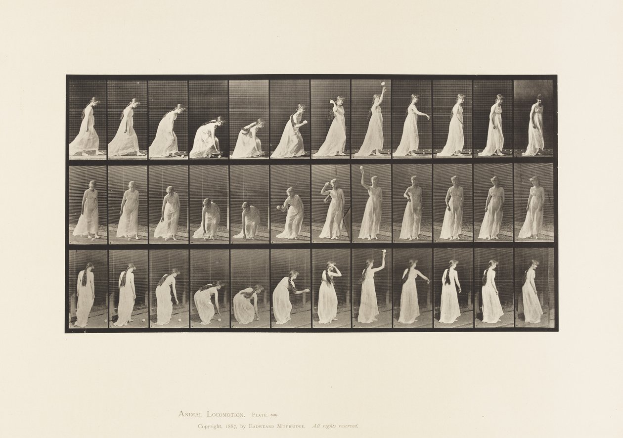 306. tábla. Labdát felvenni és eldobni, 1885 alkotó: Eadweard Muybridge