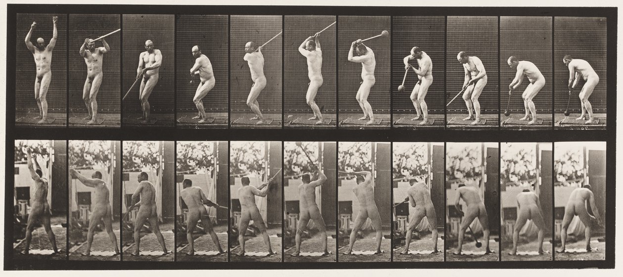 308. tábla. Kalapácsdobás, 1885 alkotó: Eadweard Muybridge