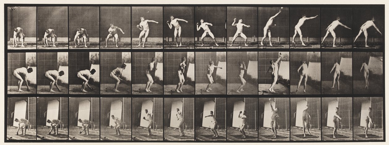 310. tábla. Lövés, 1885 alkotó: Eadweard Muybridge