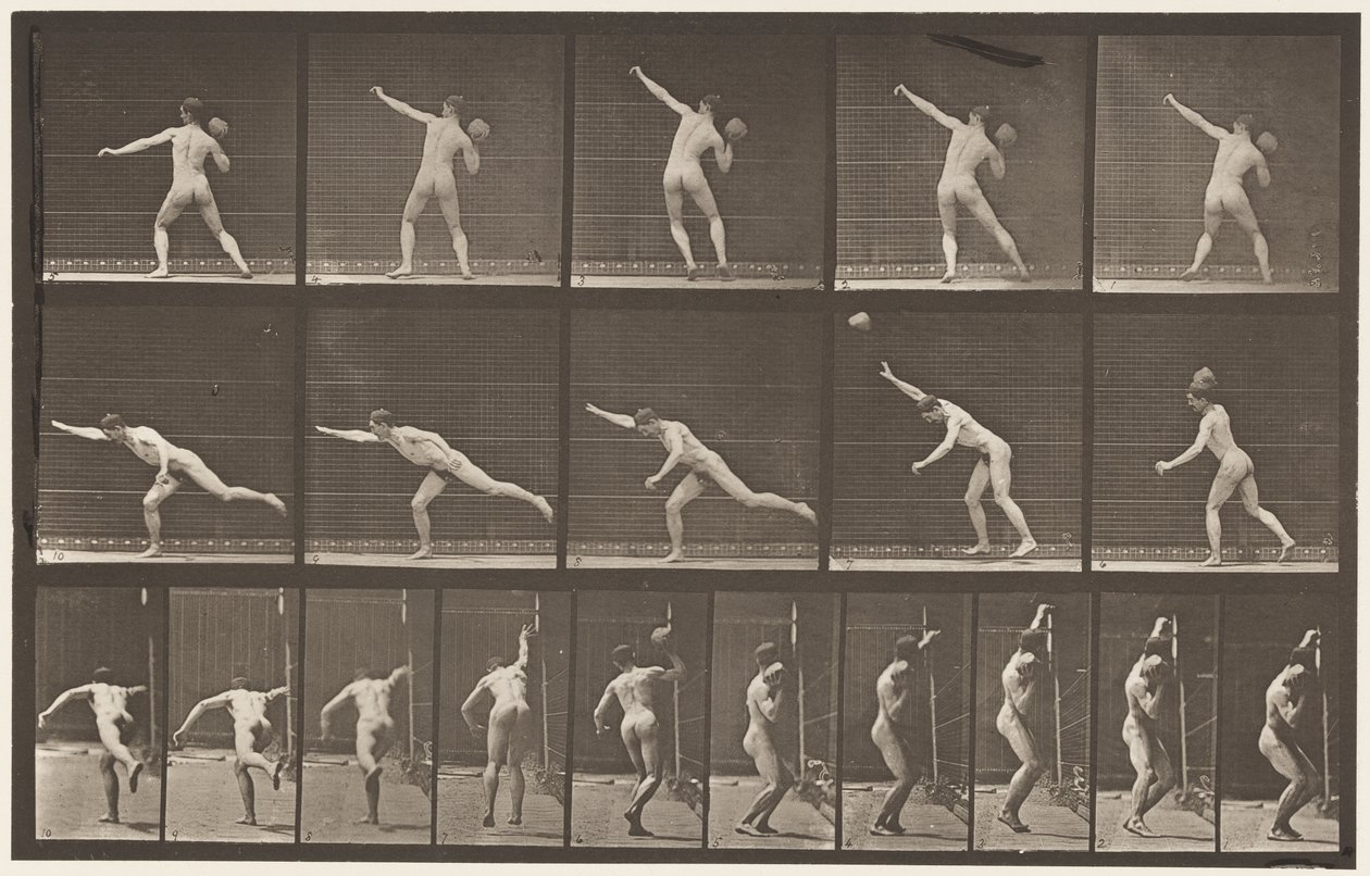 313. tábla. 20 font súlyú szikla felemelése, 1885 alkotó: Eadweard Muybridge