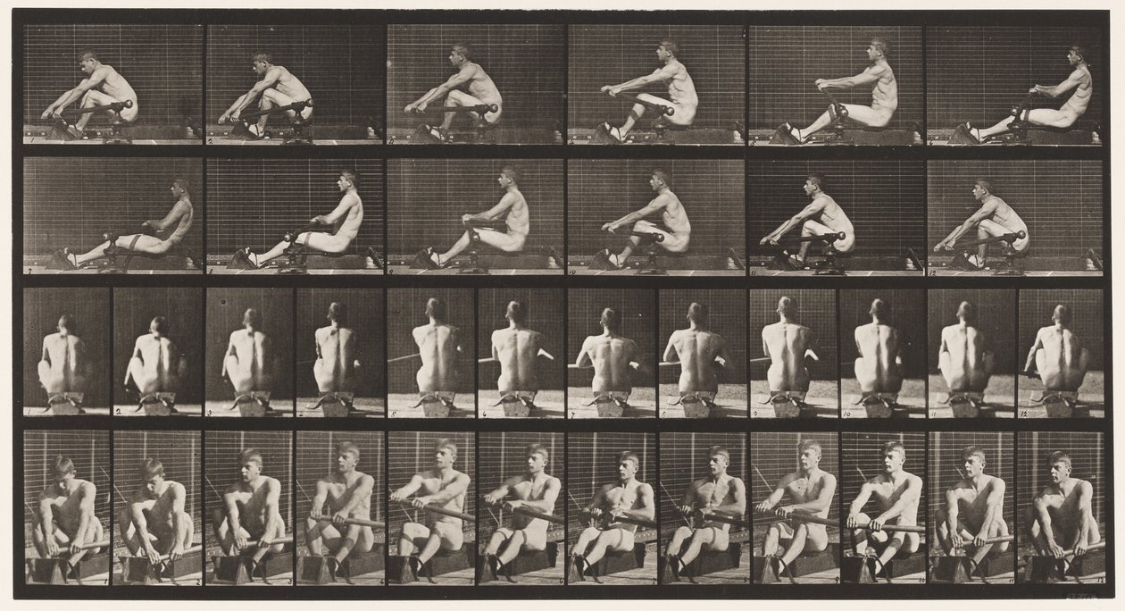 Tányér 327. Evezés alkotó: Eadweard Muybridge