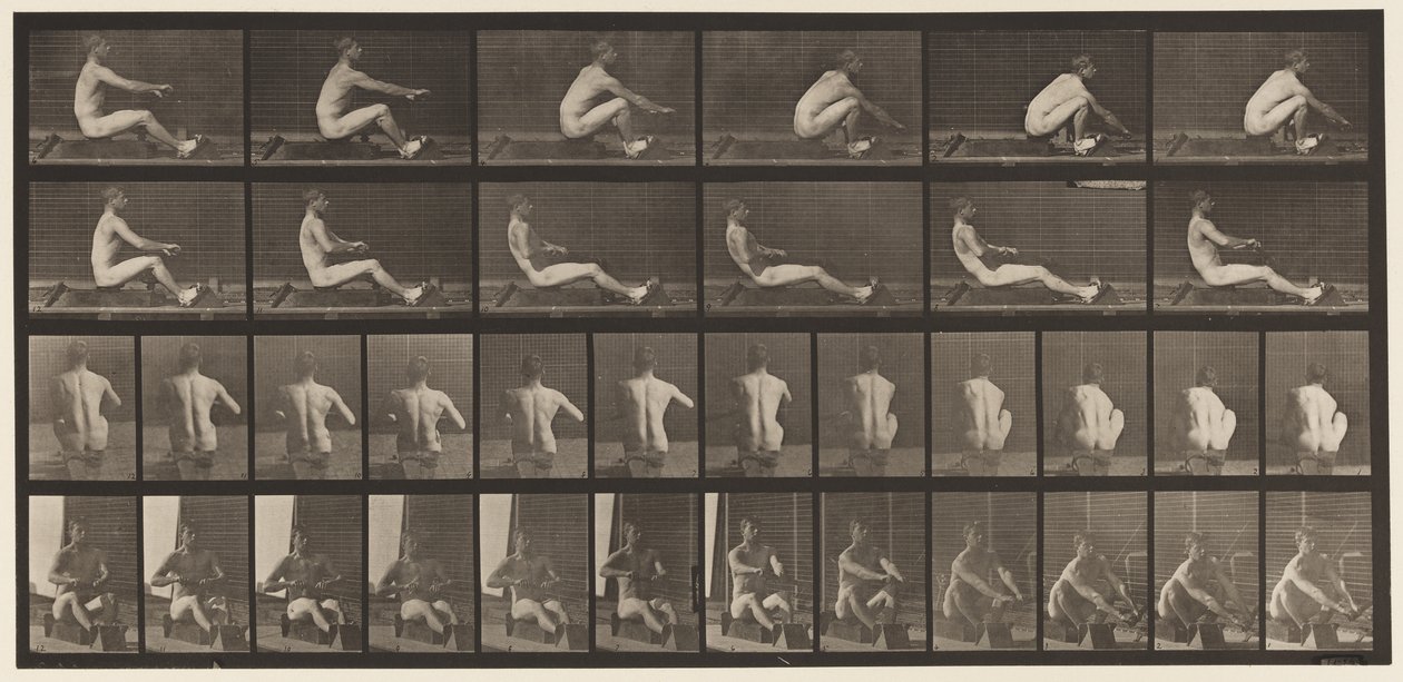Tányér 328. Evezés alkotó: Eadweard Muybridge