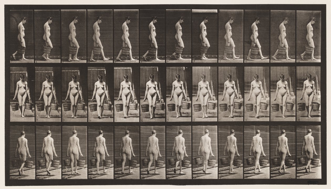 32. tábla. Séta, mindkét kezében egy vödör vizet cipelve alkotó: Eadweard Muybridge
