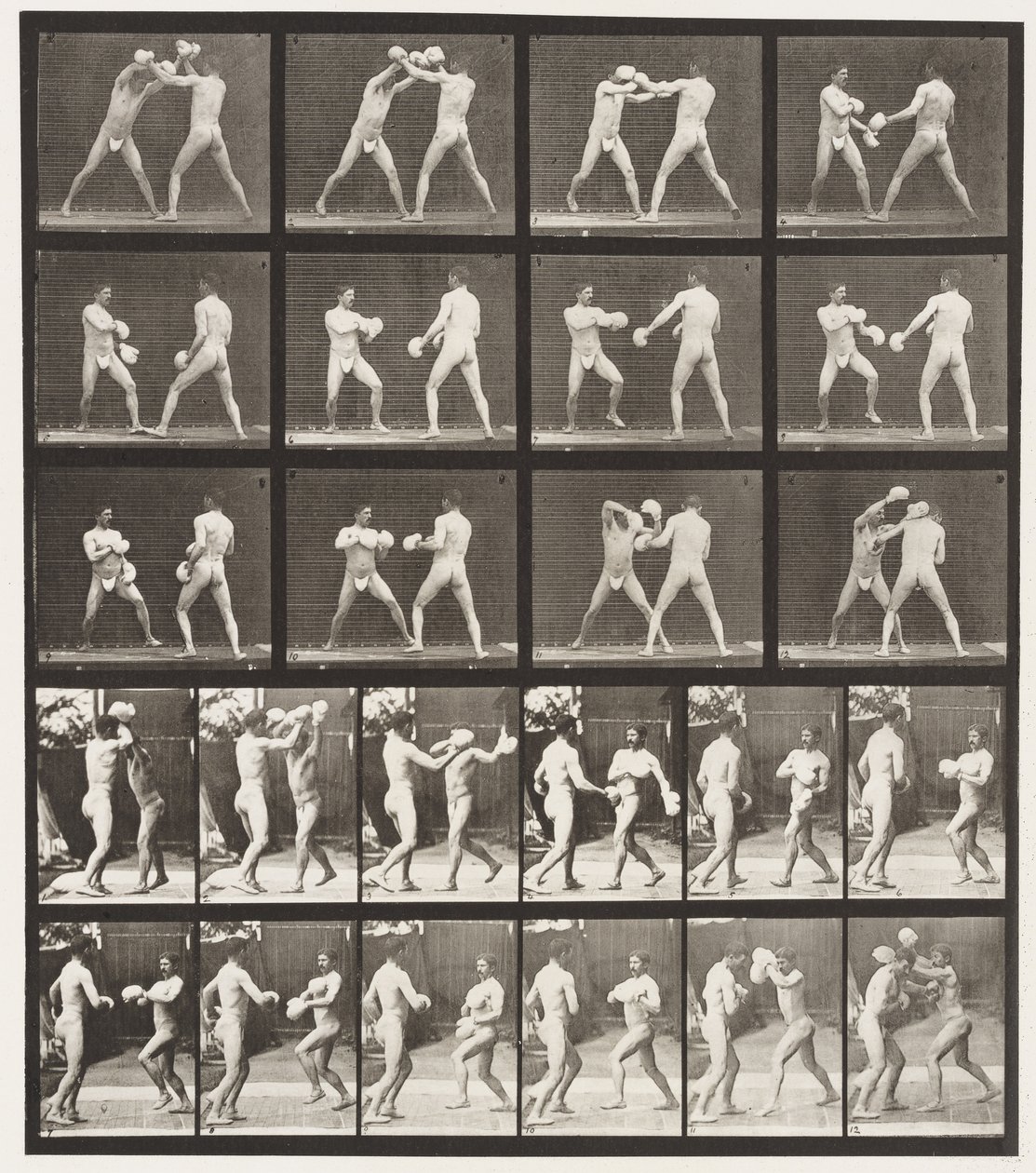 tábla 334. Ökölvívás; Kesztyűvel (cipő) alkotó: Eadweard Muybridge