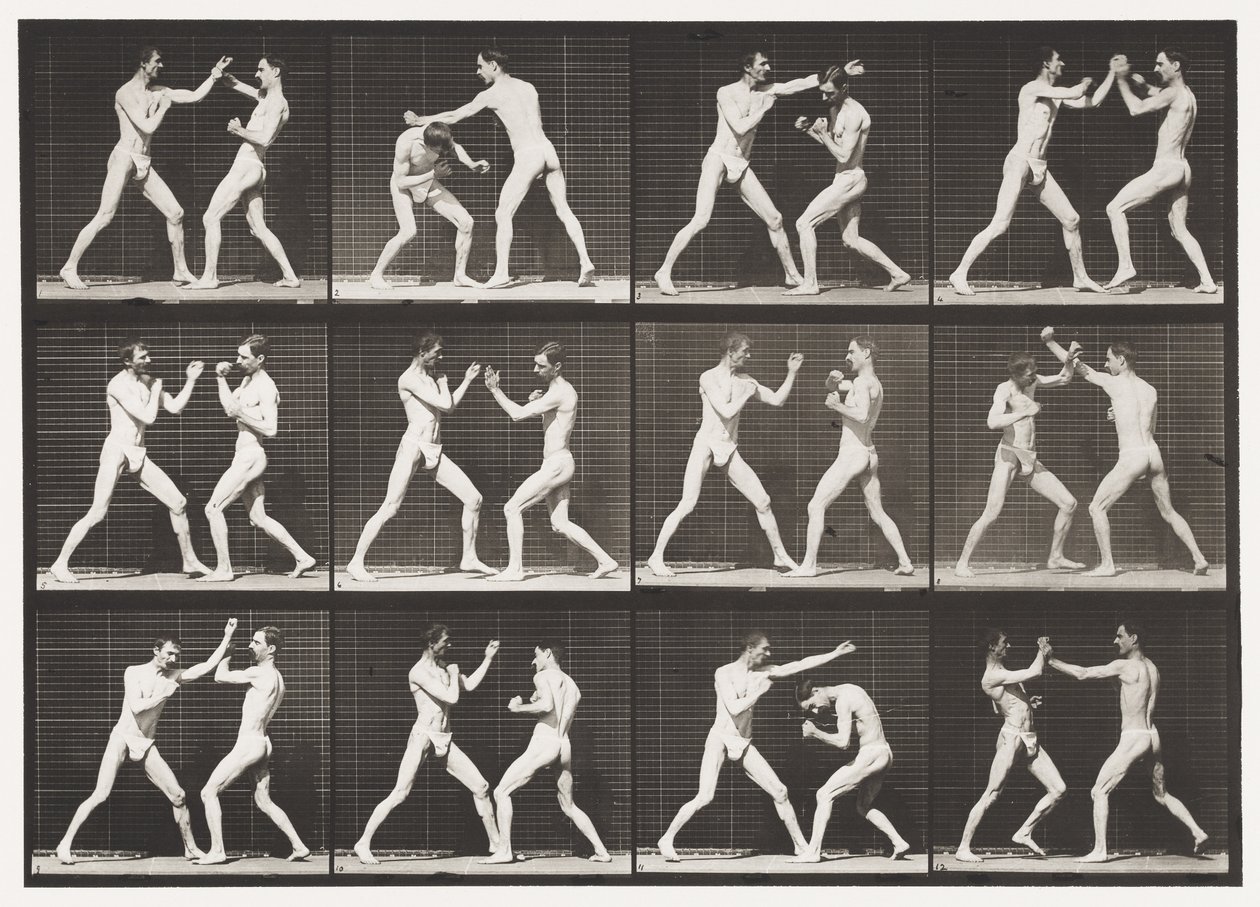 tábla 336. Ökölvívás; Nyitott kéz (cipő) alkotó: Eadweard Muybridge