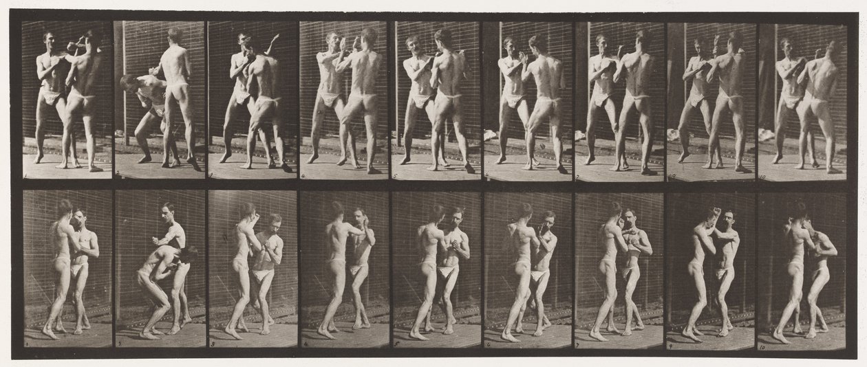 tábla 337. Ökölvívás; Nyitott kéz alkotó: Eadweard Muybridge