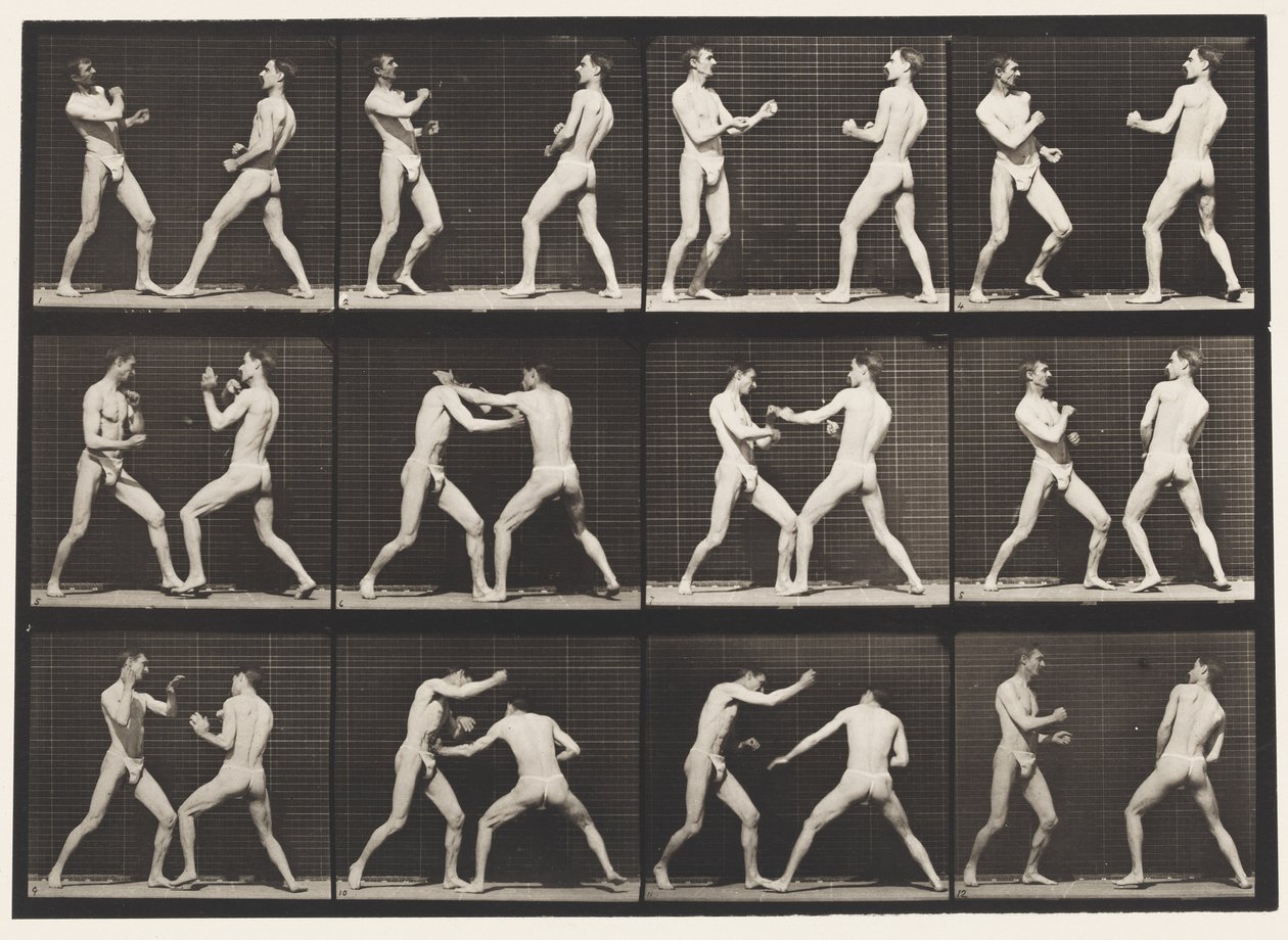 tábla 338. Ökölvívás; Nyitott kéz (cipő) alkotó: Eadweard Muybridge