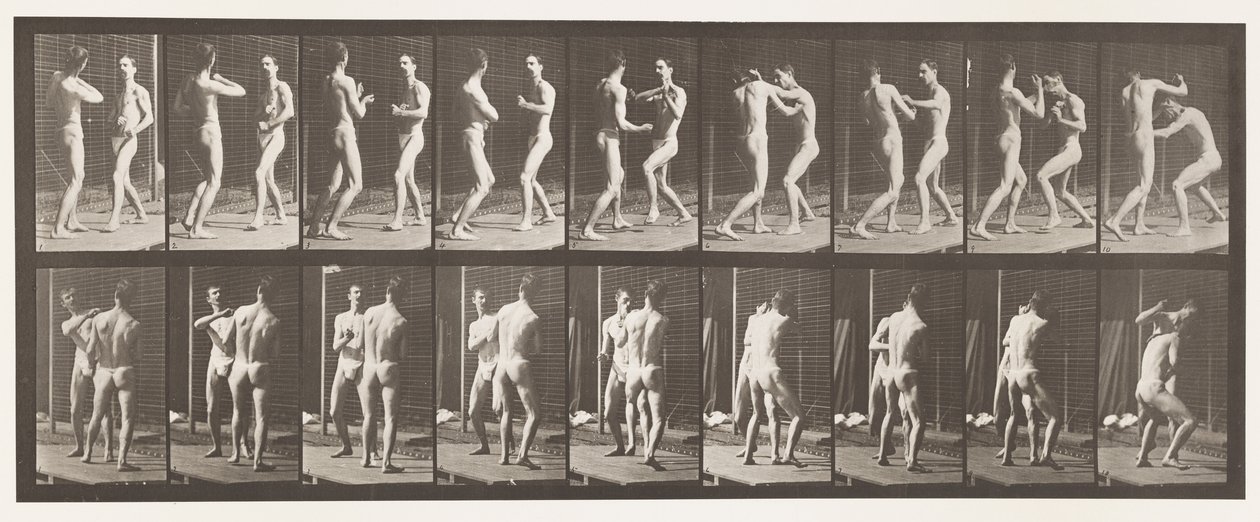 tábla 339. Ökölvívás; Nyitott kéz alkotó: Eadweard Muybridge