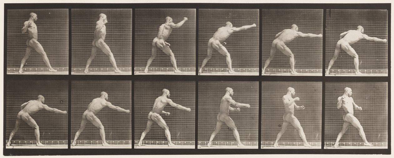 344. tábla. Ütés (jobb kéz) alkotó: Eadweard Muybridge