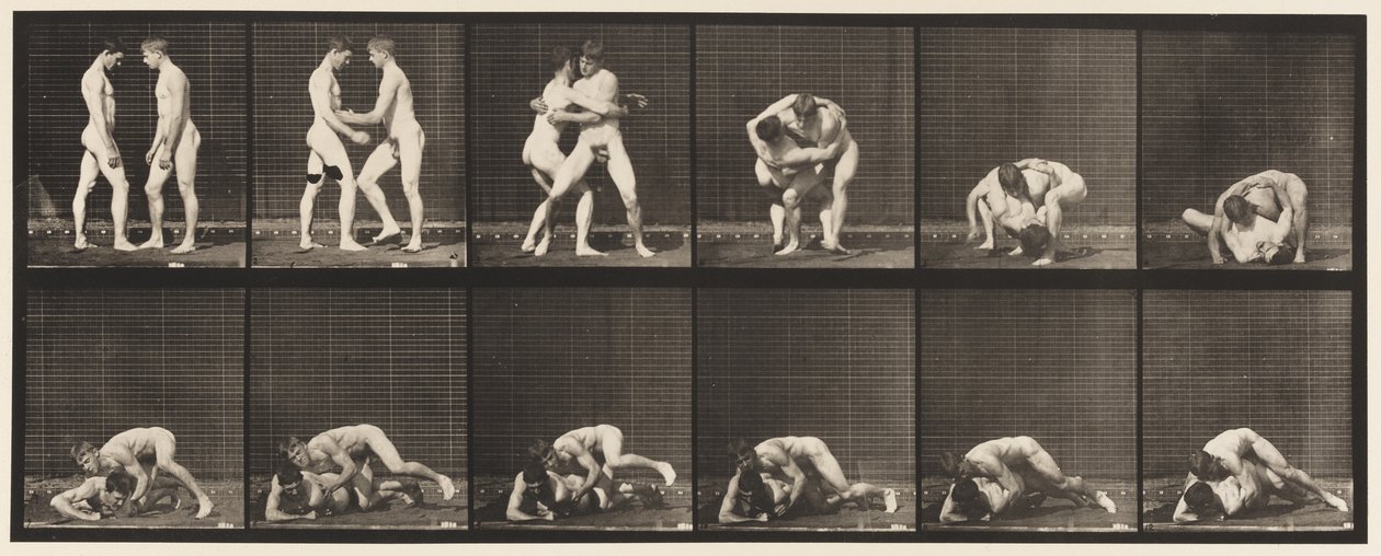 345. tábla. Birkózás, zár, 1885 alkotó: Eadweard Muybridge