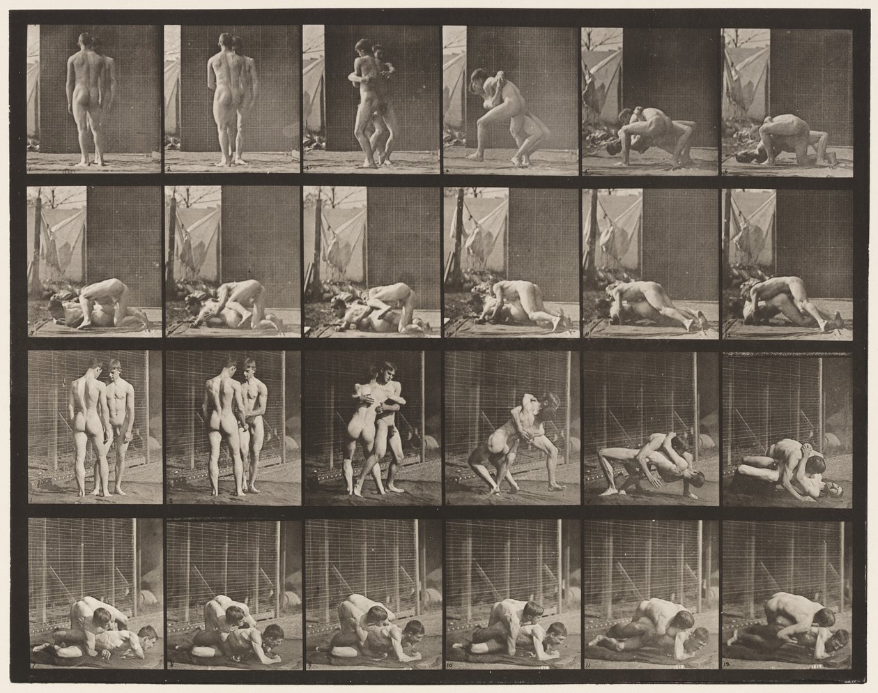 346. tábla. Birkózás, zár alkotó: Eadweard Muybridge