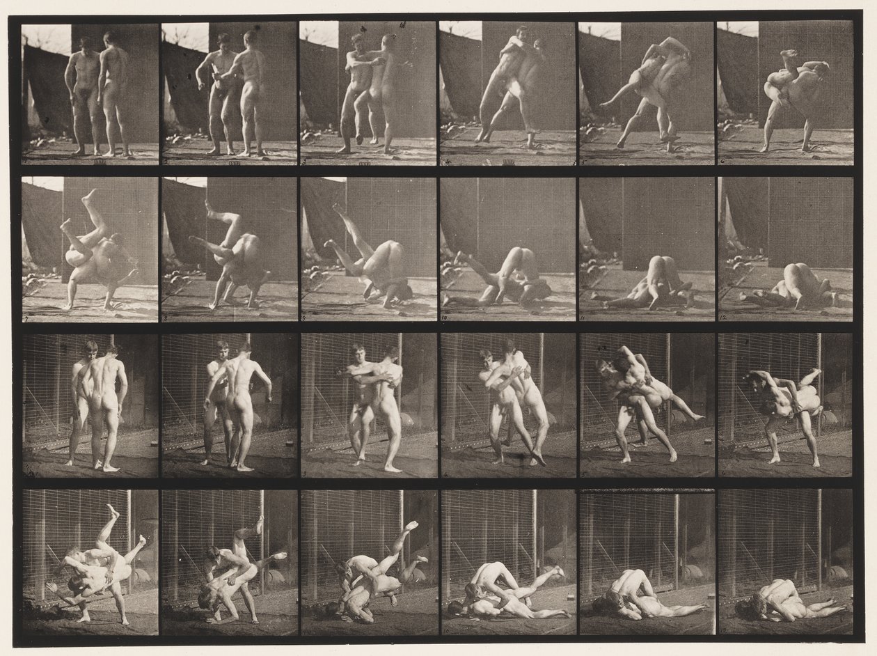 348. tábla. Birkózás, görög-római, 1885 alkotó: Eadweard Muybridge