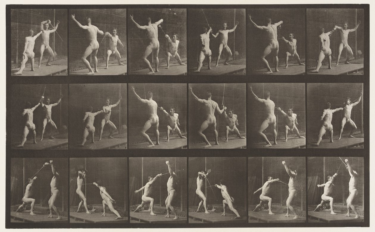 tábla 350. Vívás alkotó: Eadweard Muybridge