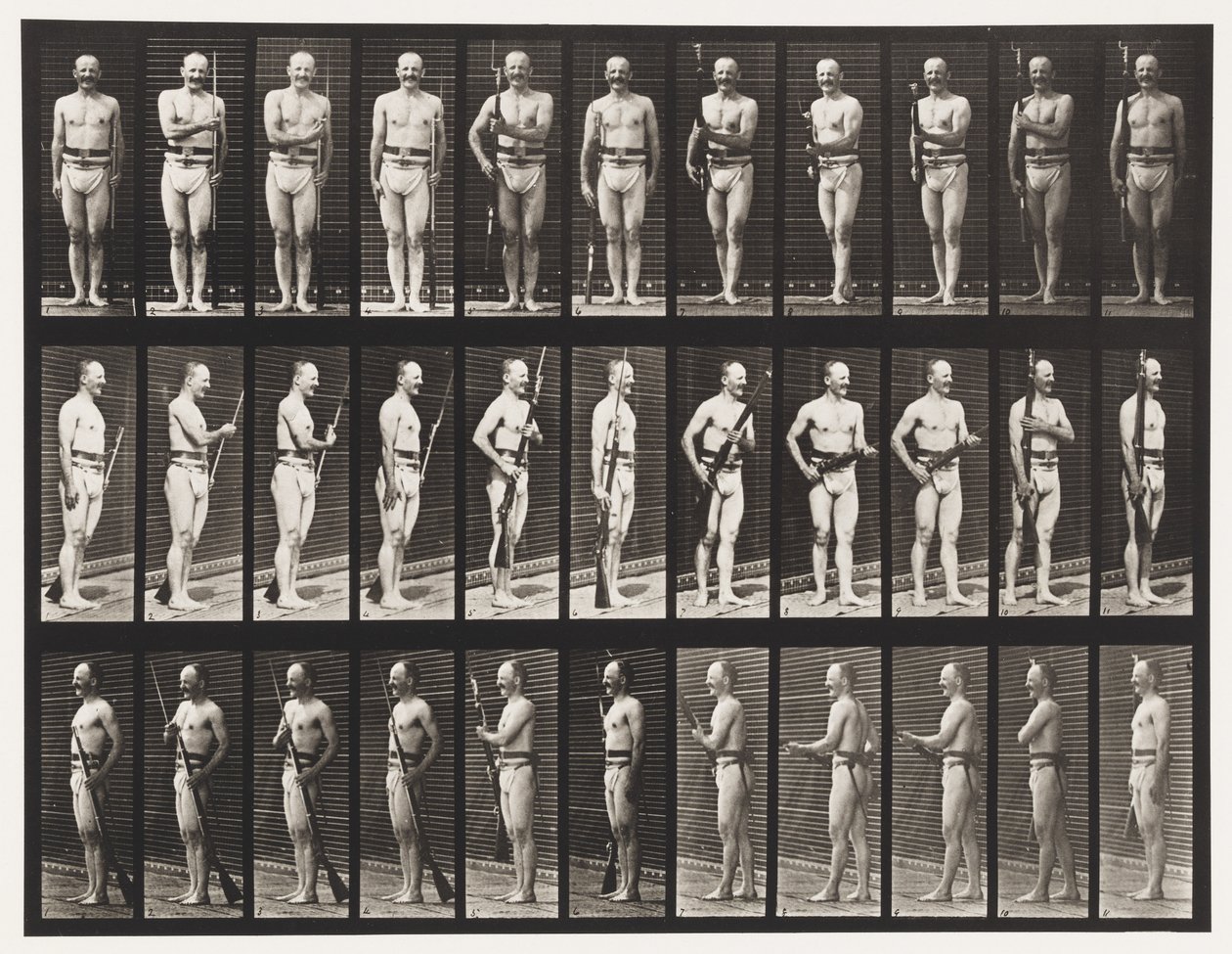 351. tábla. Fix és Unfix Bajonett, 1872-1885 alkotó: Eadweard Muybridge
