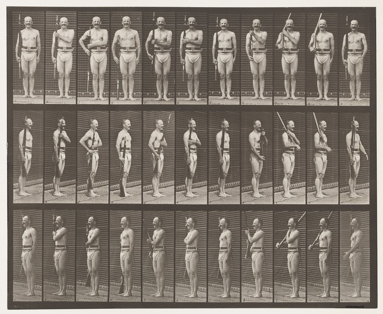 352. tábla. Váll, rend és hordozó karok alkotó: Eadweard Muybridge
