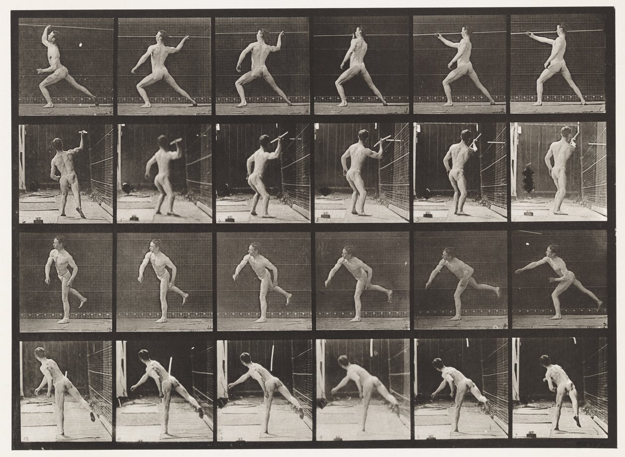 360. tábla Lándzsadobás, 1872-1885 alkotó: Eadweard Muybridge