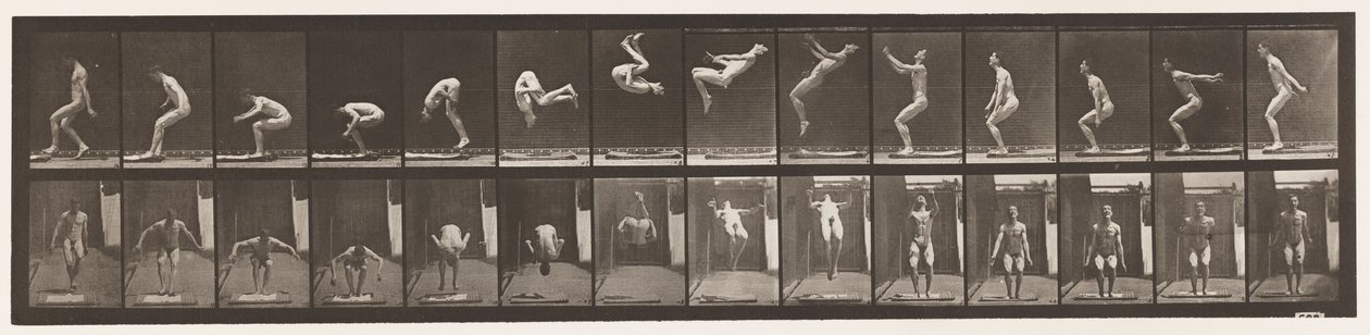 tábla 362. Hátsó szaltó alkotó: Eadweard Muybridge